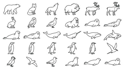 Arctic animals icon set, minimalist line art of polar wildlife, 30 vector illustrations of northern fauna, simple black outline nature graphics © Ch
