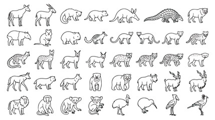 Minimalist wild animal line icons, set of 40 exotic mammal and bird vector illustrations, clean black outline wildlife graphics for educational design © Ch