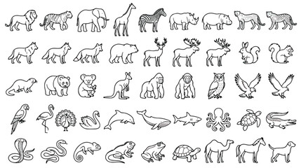 Minimalist animal line icons set, 50 wild and domestic animals vector collection, thin black outline wildlife symbols for educational infographics © Ch