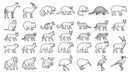 Minimalist wild animal line icons, set of 35 exotic wildlife vector illustrations, simple black outline zoo animals for educational infographics © Ch
