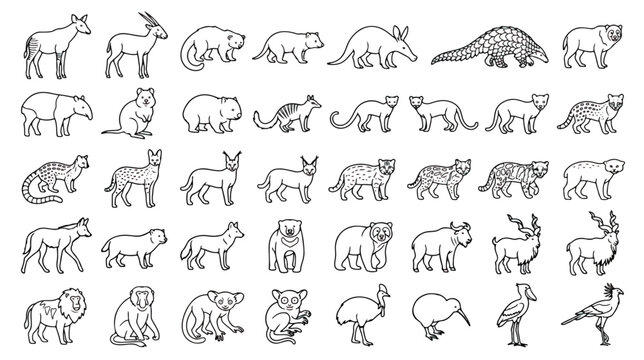 Minimalist wild animal line icons, set of 40 exotic mammal and bird vector illustrations, clean black outline wildlife graphics for educational design