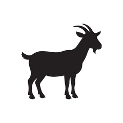 Fototapeta premium goat on white background