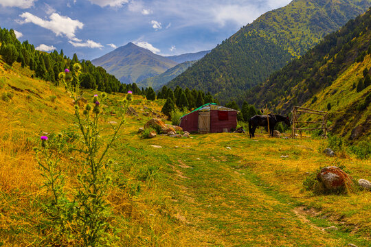 Tranquil Mountain Landscape with Horse and Rustic Cabin