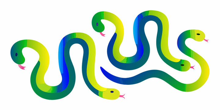 Stylized Snakes Winding In Gradient Colors Vector Illustration