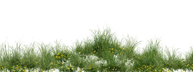 Fototapeta premium 3d render illustration Natural green plant grass vegetation on transparent background