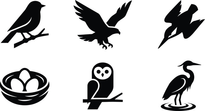 Collection of bird icons including a robin eagle pelican nest with eggs owl and heron in a simple flat silhouette style for nature or wildlife themes