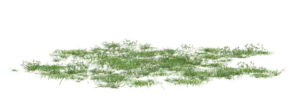 3d Render Of Lush Green Grass Blades Cluster On Transparent Background For Botanical Texture