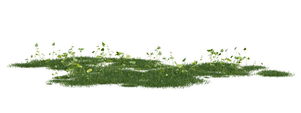 3d Three Dimensional Render Of Lush Green Grass And Vegetation On Transparent Background With Blades