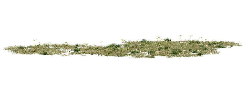 3d Three Dimensional Render Of Lush Green Grass Blades And Delicate Vegetation On A Transparent Background