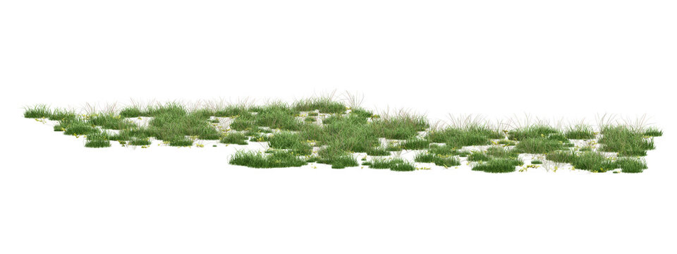 Natural 3d Green Grass Blades On Transparent Background For Botanical Illustration And Design Assets