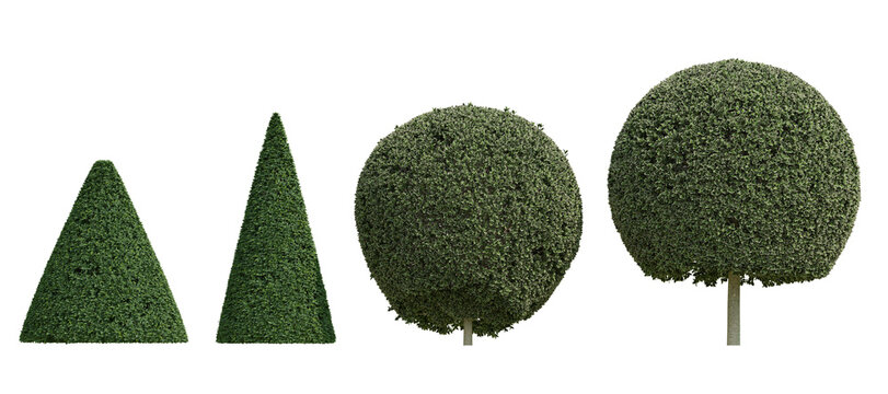 Three Dimensional Topiary 3d Plant Forms In Rich Green On Transparent Background, Geometric Triangles And Spheres