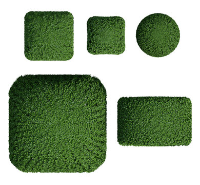 Top View Of A Three-Dimensional Boxwood Plant Arrangement With Geometric Foliage Tiles And Crisp Green Texture On Transparent Background