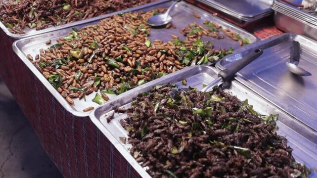 Exotic Street Food Fried Insects & Bugs for Sale to Eat at Bangkok Open Night Bazaar Market in Thailand. Asian Cuisine & Culinary Culture