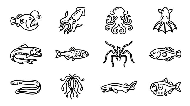 Various sea creatures illustrations.