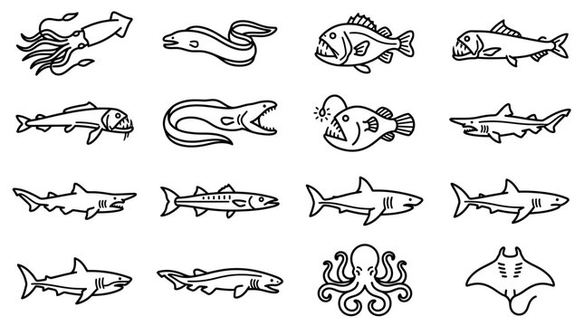 Collection of various fish species.