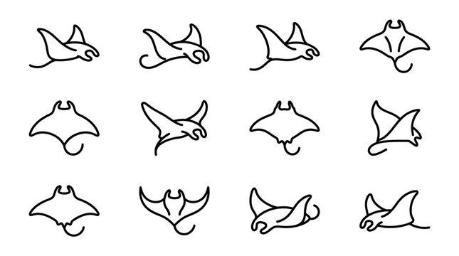 Various Stingray Silhouette Line Drawings.