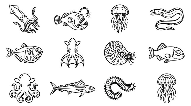 Various sea creatures illustrations 1.