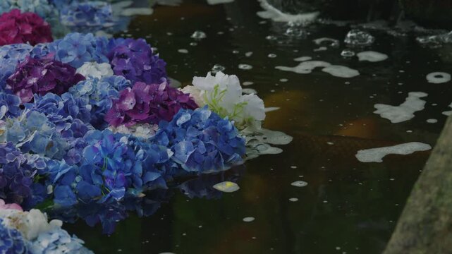 水中華の池に流れ込む水