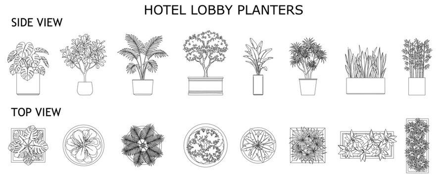 Luxury Hotel Lobby Planters CAD Blocks Collection Front Elevation and Top View for Interior Design, Landscape Architecture and AutoCAD Drawings