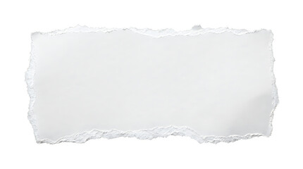 Fototapeta premium A single rectangular piece of blank torn paper with rough edges for design and copy space