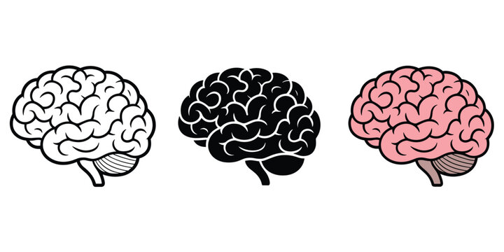 Three brain illustrations in different styles outline black and color science medical
