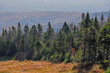 Autumn at Mont-Tremblant, Canada © Anupam