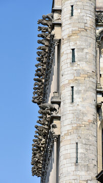 Profile View of the Gargoyles on the West Facade of Notre Dame of Dijon - Close-up