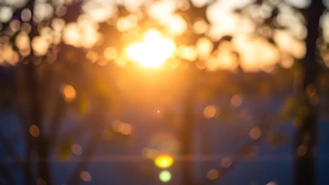 Golden sunset light creates a soft bokeh effect through dark forest trees