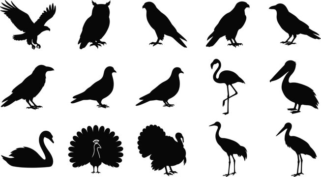 Bird species silhouettes and wild aviary fauna icons black vector illustration set featuring eagle owl flamingo and peacock