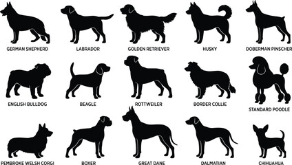 Dog breeds silhouettes and domestic canine types vector illustration set featuring German Shepherd Labrador Golden Retriever and Great Dane © Nurjahan