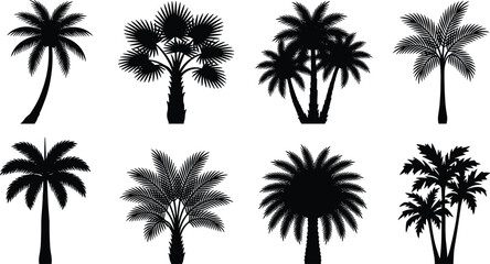 Fototapeta premium Elegant collection of diverse palm tree silhouettes showcasing tropical botanical variety