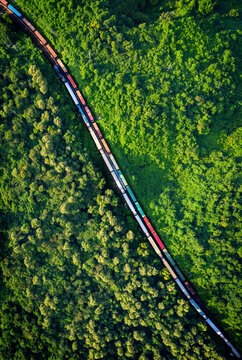 arallel journeys: Two cargo trains passing each other, slicing through the heart of a lush green forest