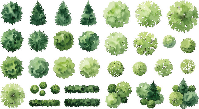 Set of watercolor top view trees and shrubs for landscape architecture design isolated on white background for site plans and garden layouts