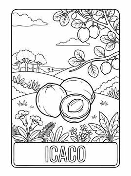 Educational Icaco Fruit Coloring Page for Kids, Black and White Line Art