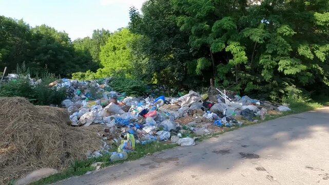 garbage in the forest. natural landfills. garbage in the environment. garbage dump in the forest. garbage on the side of the road