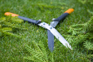 Obraz premium Garden shears on green grass background. Gardening concept.