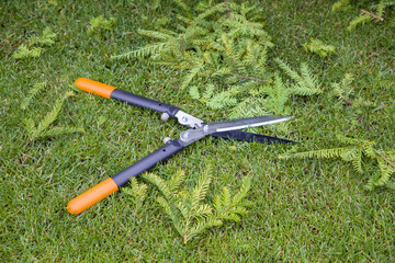 Fototapeta premium Garden shears on green grass background. Gardening concept.
