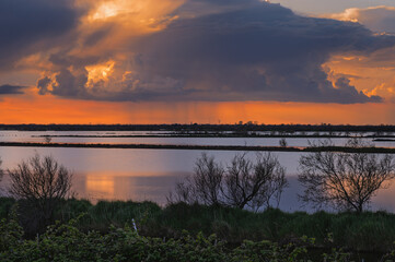 Fototapeta premium sunset over the lagoon inside the river Po delta with a dramatic sky in the background, Porto Levante, Rovigo, Italy