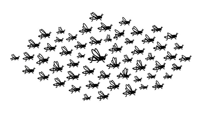 Grasshopper swarm, insect migration, pest infestation, nature pattern, black silhouette