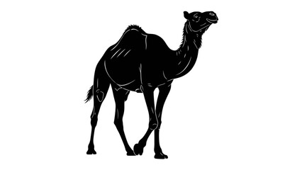 Silhouette of a Camel: A striking black silhouette of a camel, highlighting its distinctive humps and regal posture, walking with purpose. © Abu