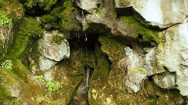 Horizontal video of water drops dripping from a mossy stone cave ceiling, beautiful natural mountain spring source with lush green moss and wild plants on wet rocky cliffs, scenic grotto landscape