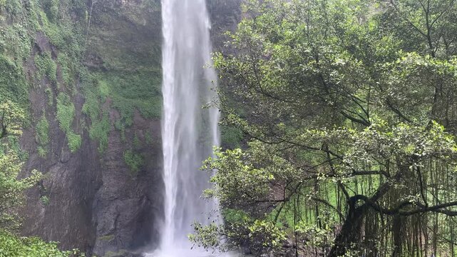 shot of a tall tropical waterfall cascading down a mossy cliff surrounded by dense green rainforest vegetation in West Java, Indonesia. Water flows continuously with natural motion blur. Peaceful natu