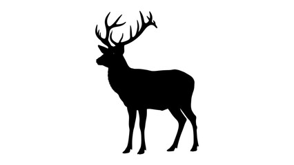Majestic Stag Silhouette: A bold black silhouette of a stag, its antlers reaching skyward, stands proudly. A powerful symbol of nature's grandeur and untamed spirit. © Abu