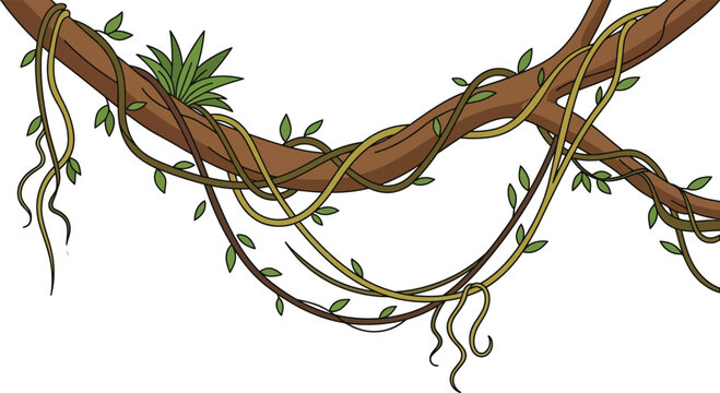 Tropical jungle liana vines with green leaves, rainforest hanging creeper branch flat vector illustration