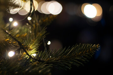 Holiday tree © Marcel
