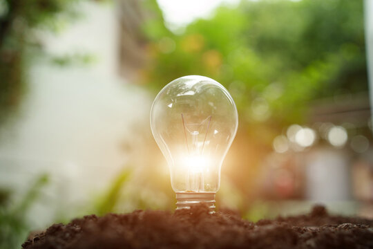 Glowing Light Bulb on Soil for Sustainable Green Energy Concept