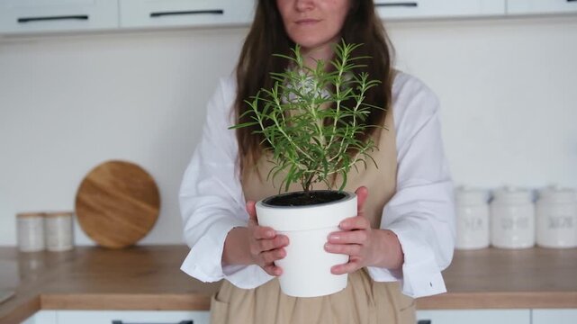 Woman holding a potted rosemary plant in a kitchen