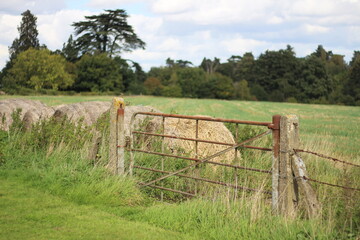 A rusty gate into a field, hay bales line the field, trees in the background © David