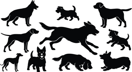 Obraz premium Dogs of various breeds are depicted as black silhouettes on a white background.