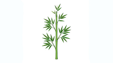Obraz premium A single bamboo stalk with lush green leaves stands tall.